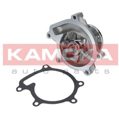 POMPA ACQUA T0110 KAMOKA (1/4)