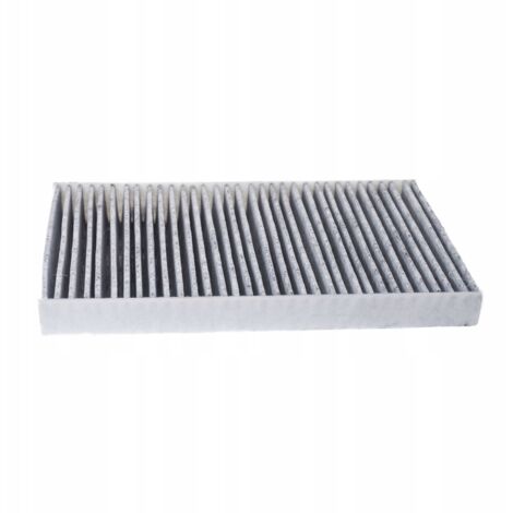 Filtro abitacolo RENAULT FLUENCE, MEGANE III/CC  Anti-SMOG Stop-MICROBE