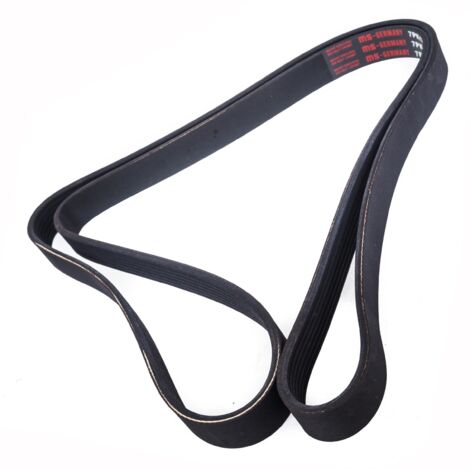 CINGHIA POLARE PK 7PK1795 (1/2)