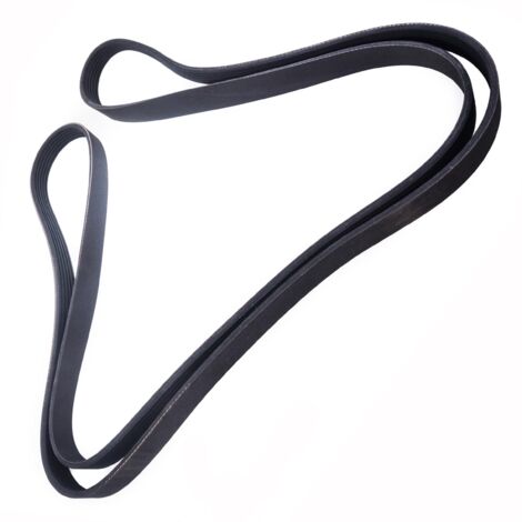 CINGHIA POLARE PK 6PK2373 (1/2)
