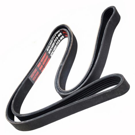 CINGHIA POLARE PK 6PK1695 (1/2)