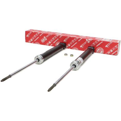 2 AMMORTIZZATORI posteriori S+D NISSAN MICRA III (K12) (1/5)