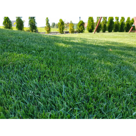 Fertilizzante Per Prato Compo Con Effetto Duraturo - 20kg Per 800 Mq, Per Prati Sportivi E Ornamentali