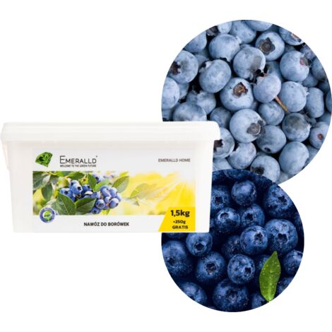 Fertilizzante BIOPON per mirtilli 3 kg