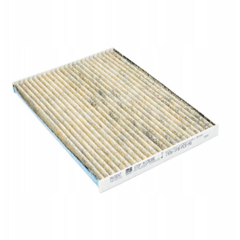 Filtro abitacolo NISSAN X-TRAIL II, QASHQAI I (1/5)