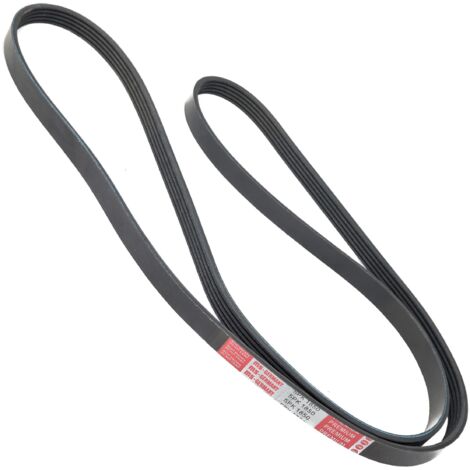 CINGHIA POLARE PK 5PK1845 (1/2)