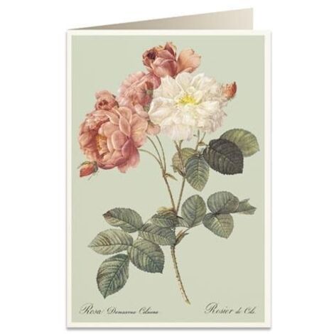 WBdesignz Biglietto Auguri Compleanno Con Busta: Annaffiatoio Con Fiori, Scritta Glückwunsch, Carta Premium 300g/m², Formato DIN A6