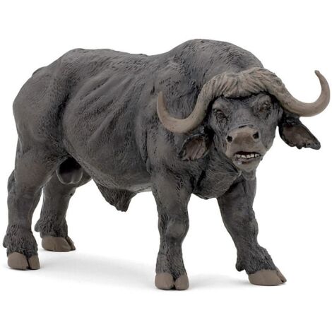 bufalo africano