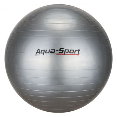 Palla da ginnastica AquaSport Powerstrech anti-scoppio, grigia, 65 cm, AS0065