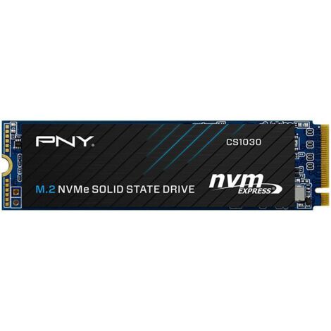 PNY CS1030 SSD M.2 NVMe PCIe Gen3 250GB - Lettura 2500MB/s Scrittura 1100MB/s (1/3)