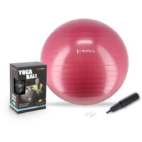 YB01 NUOVA PALLA DA GINNASTICA HMS 65CM COLOR PRUGNA