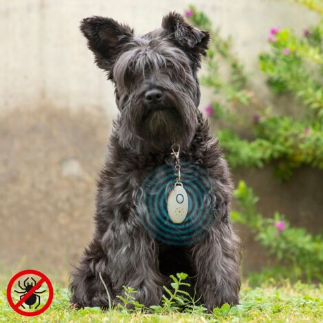 Northix PetRep InnovaGoods Repellente a Ultrasuoni Argento