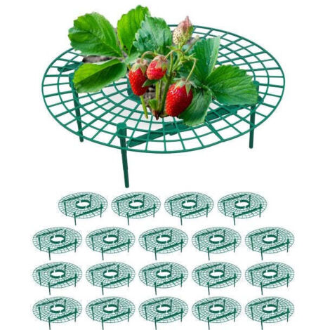 Tagliafragole, 20 pz (1/5)