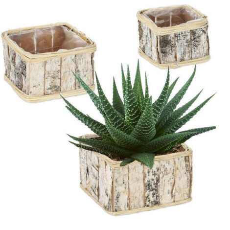 YARNOW Vaso Rettangolare In Ceramica Con Sottovaso Per Piante Grasse E Cactus - Bianco, 28x6x4,5 Cm