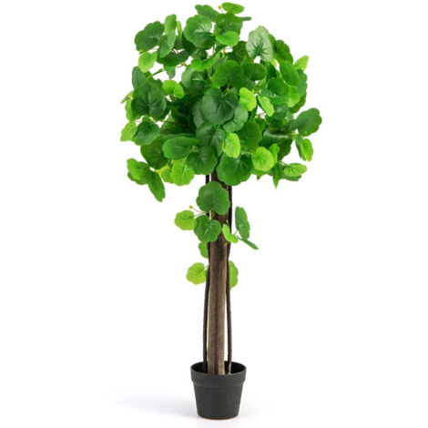 Melo Nano In Vaso – Albero Vero Da Frutto A Pieno Sole, Mele A Buccia Gialla E Polpa Soda, Pianta Di 3 Anni Autofertile