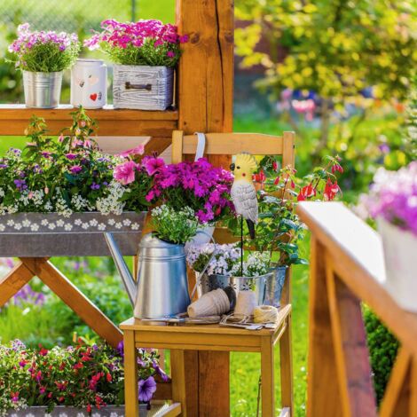 Riccio del giardino immagini e fotografie stock ad alta risoluzione - Alamy