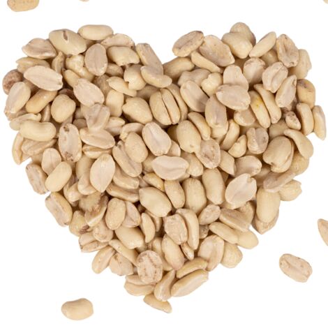 25 kg d'amandes d'arachide Lyra Pet® SPLITS HK Argentine (1/5)