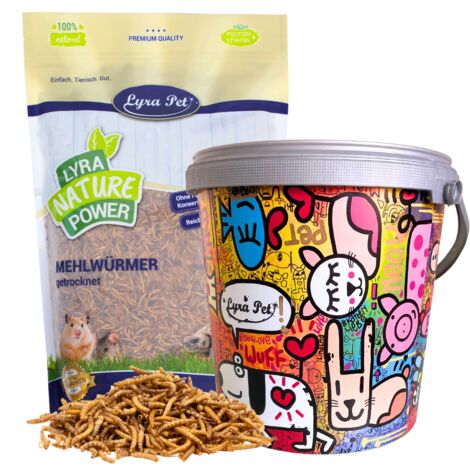 Vers de farine Lyra Pet® de 10 litres dans un seau design