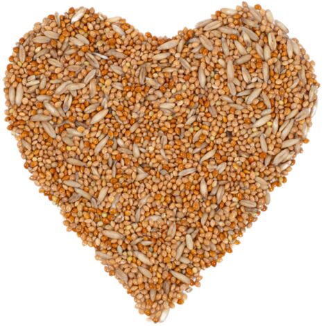25 kg de nourriture pour perruches Lyra Pet®