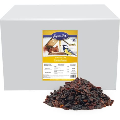 10 Raisins secs Lyra Pet® Premium