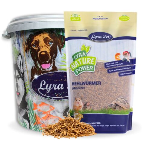 5 kg de vers de farine Lyra Pet® séchés dans un bac de 30 L