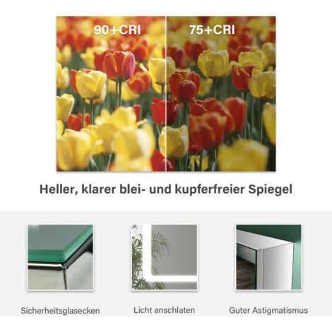 SONNI Badspiegel mit Beleuchtung, Badspiegel Lichtspiegel 60x50cm Spiegel Wandspiegel IP44