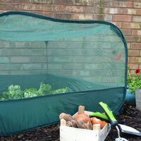 Pop-Up Net Fruit Cage – 1m x 1m x 0.65m High (NO DOOR) - pack of 2