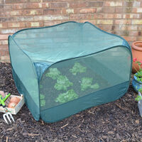 Pop-up Net Fruit Cage (without door) - 1.25m x 1.25m x 0.65m High