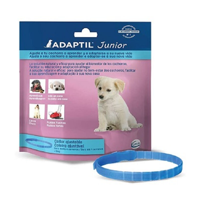 Adaptil Junior Para cachorros al hogar aprendizaje educación lloros quedarse solo collar ceva calmante