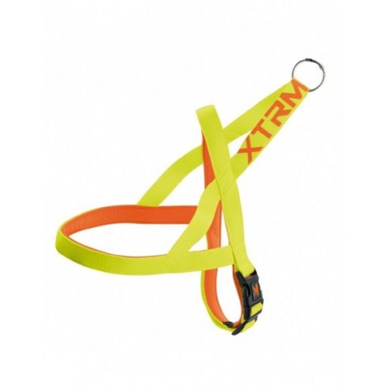 ARNES X-TRM NEON FLASH LIMON 20mm x 60-71cm