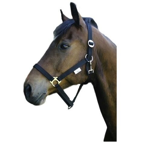 KERBL Cabezada Clásica Caballo Nylon, Negro, Talla 0 (1/2)