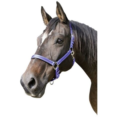 KERBL Cabezada Caballo MUSTANG, Nylon, Doble Ajuste, Azul, Talla (1/2)