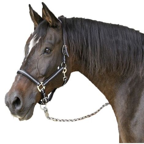 KERBL Cabezada Caballo MUSTANG, Nylon, Doble Ajuste, Negro, Talla (1/2)