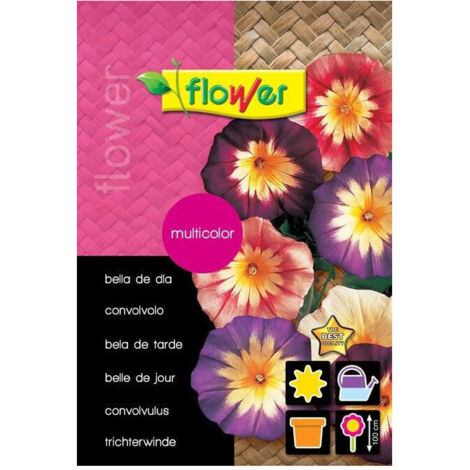 Semillas césped universal 1Kg flower