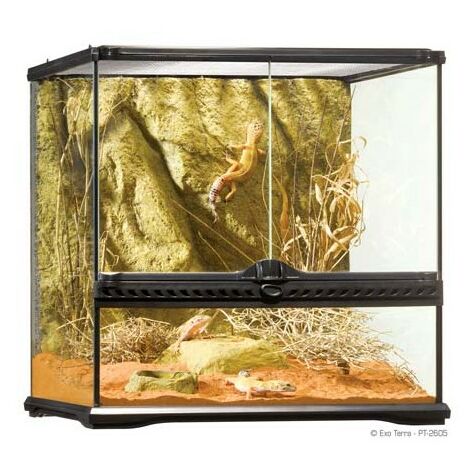 Terrarios Reptiles Exo Terra Kit Terrario Geckocrestado S 30X30X45Cm