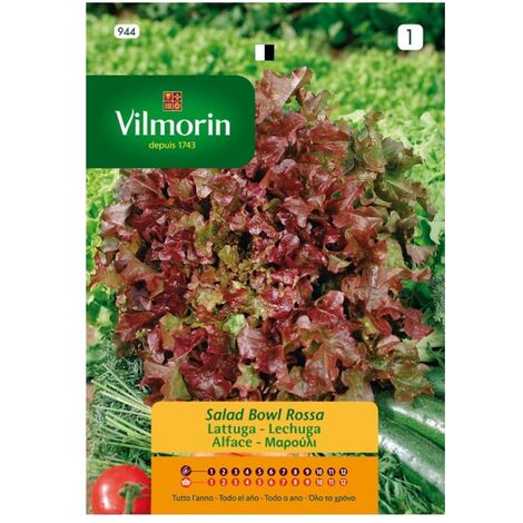 VILMORIN Semillas de LECHUGA RED BOWL S-1 944 (H.ROBLE), 7 gr