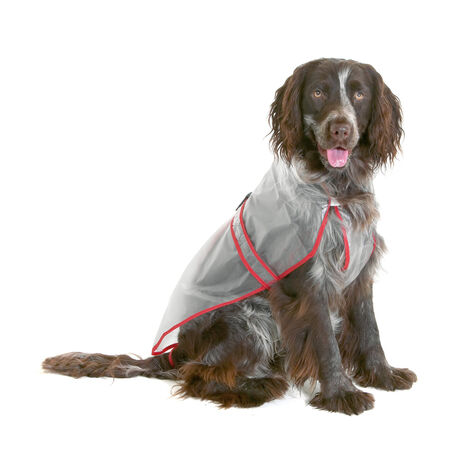 K&F CHUBASQUERO PARA PERRO 50CM CLASSIC
