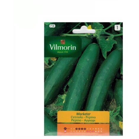 Semillas de PEPINO Vilmorin 5g