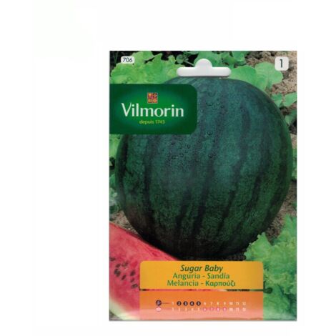Semillas de SANDIA SUGAR BABY Vilmorin 6g