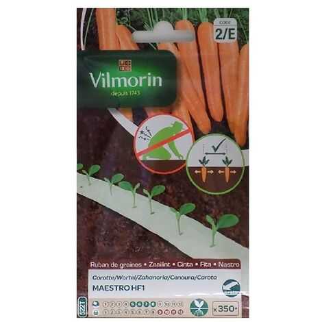 Semillas de ZANAHORIA MAESTRO HF1 (cultivo fácil)