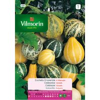 VILMORIN Semillas de CALABACITAS VARIADAS FLORES S-1, 3 gr