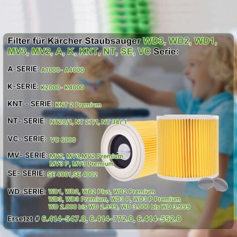Lot de 2 filtres à cartouche pour Kärcher WD3 Premium, WD2, WD3, WD3P, MV2, MV3 - Filtre WD3 - Filtre de rechange pour aspirateur Kärcher 6.414-552.0/64145520