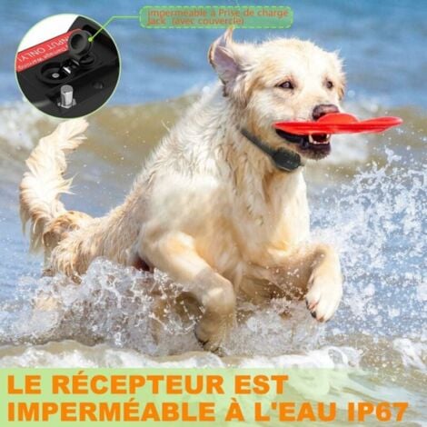 Noir collier Anti Aboiement Chien, Rechargeable, Résistance à L’Eau IP67 et Détection D’aboiement Intelligent Collier Vibration/Choc Électrique/Modes Son pour Gros Petit Chien