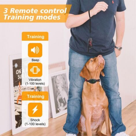 Collier anti-aboiement 2 en 1 avec télécommande - Collier étanche et antichoc, 3 modes d'entraînement, bip, vibration, plage de vibrations 400 m
