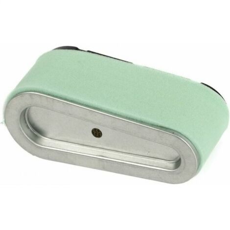 Cartouche De Filtre à Air Pour Moteur De Tondeuse à Gazon BRIGGS ROBIN EH18 EX13 EX17 EY21 100551
