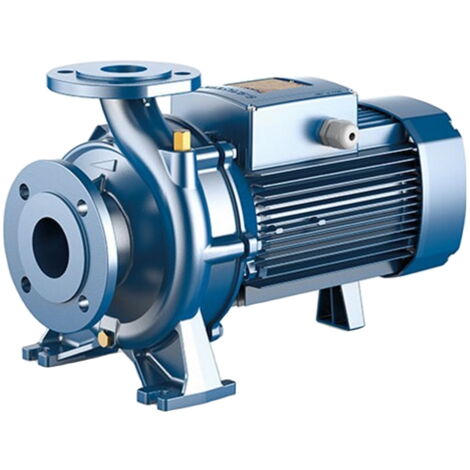 ÉLECTROPOMPE NORMALISÉE MONOBLOC pour la distribution d'eau PEDROLLO F 50/200AR (1/2)