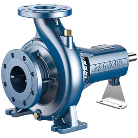 Pompe centrifuge à volute pour l'installation d'incendie PEDROLLO FG 100/160B (1/2)