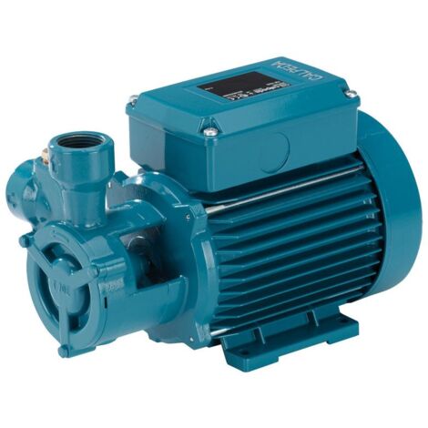 Pompe avec roue Peripherique T70m/A 0,75kW 1Hp Monophasé 230V Calpeda TM à eau centrifuge industrielle à usage professionnel (1/2)