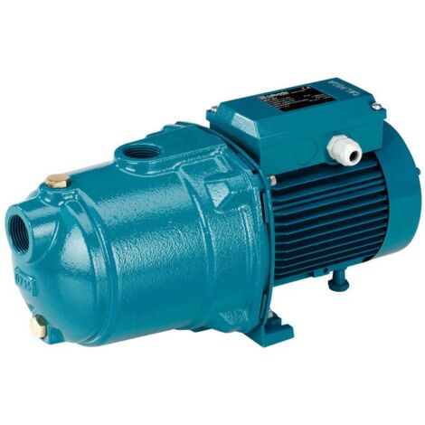 Calpeda Pompe à eau en fonte MGP405 1,1kW 1,5Hp Trois Phases 400V 50Hz MGP de Jardin et pour arrosage (1/2)