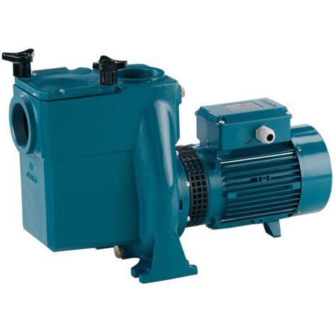 Pompe de piscine autoamorçante pour Circulation et Filtration avec filtre incorporé Calpeda NMP50/12D/A 3kW 4Hp à Triphasee 400V (1/2)